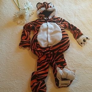 Halloween Costume - Tiger